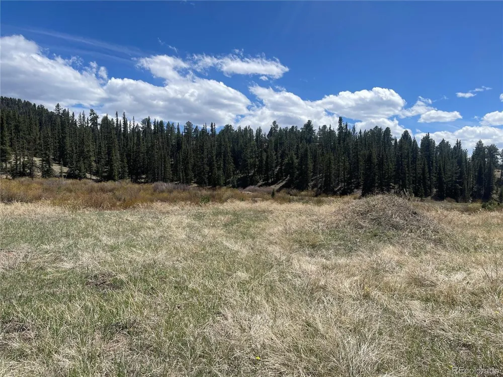 Address Not Shown Florissant, CO 80816