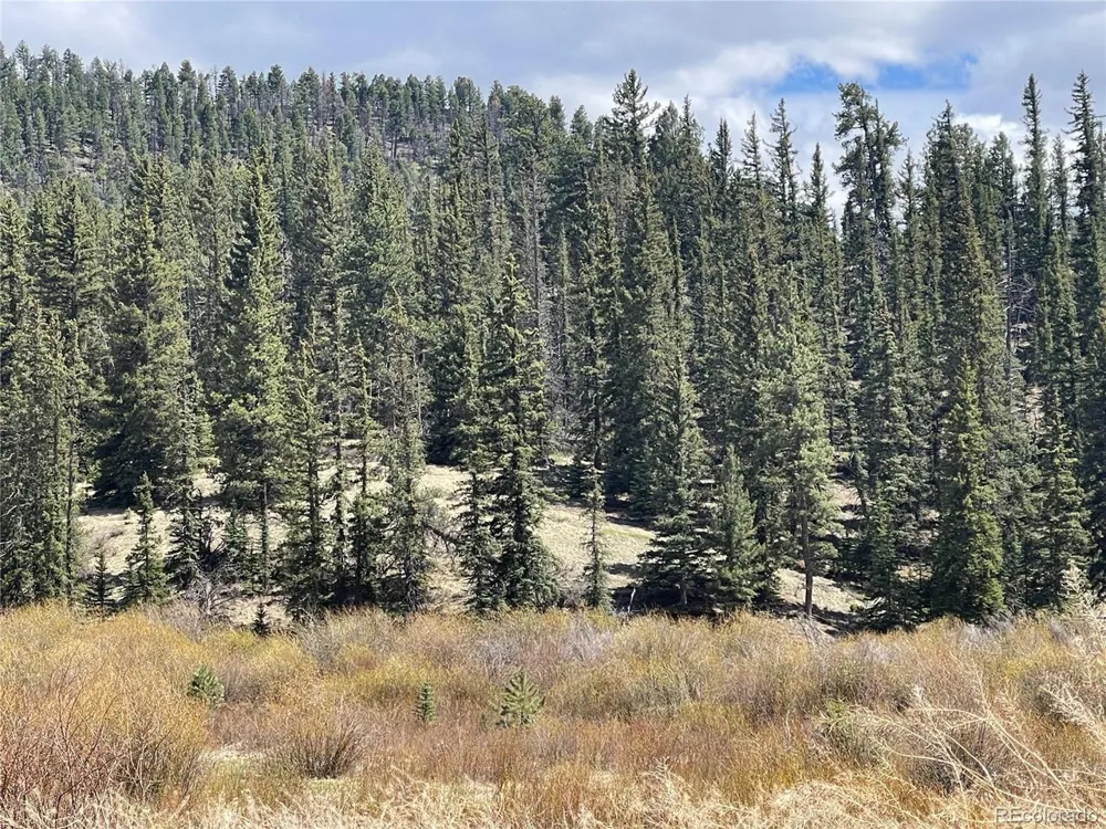 Address Not Shown Florissant, CO 80816