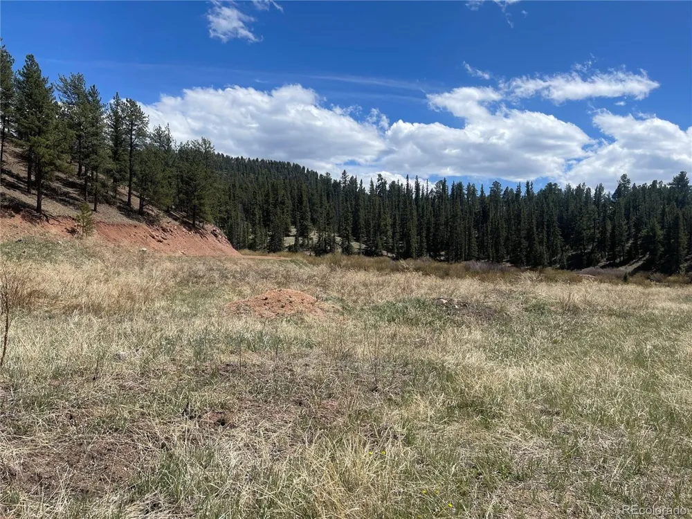 Address Not Shown Florissant, CO 80816