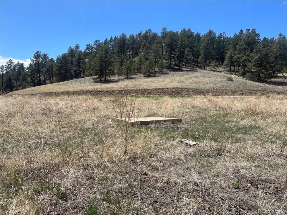 Address Not Shown Florissant, CO 80816