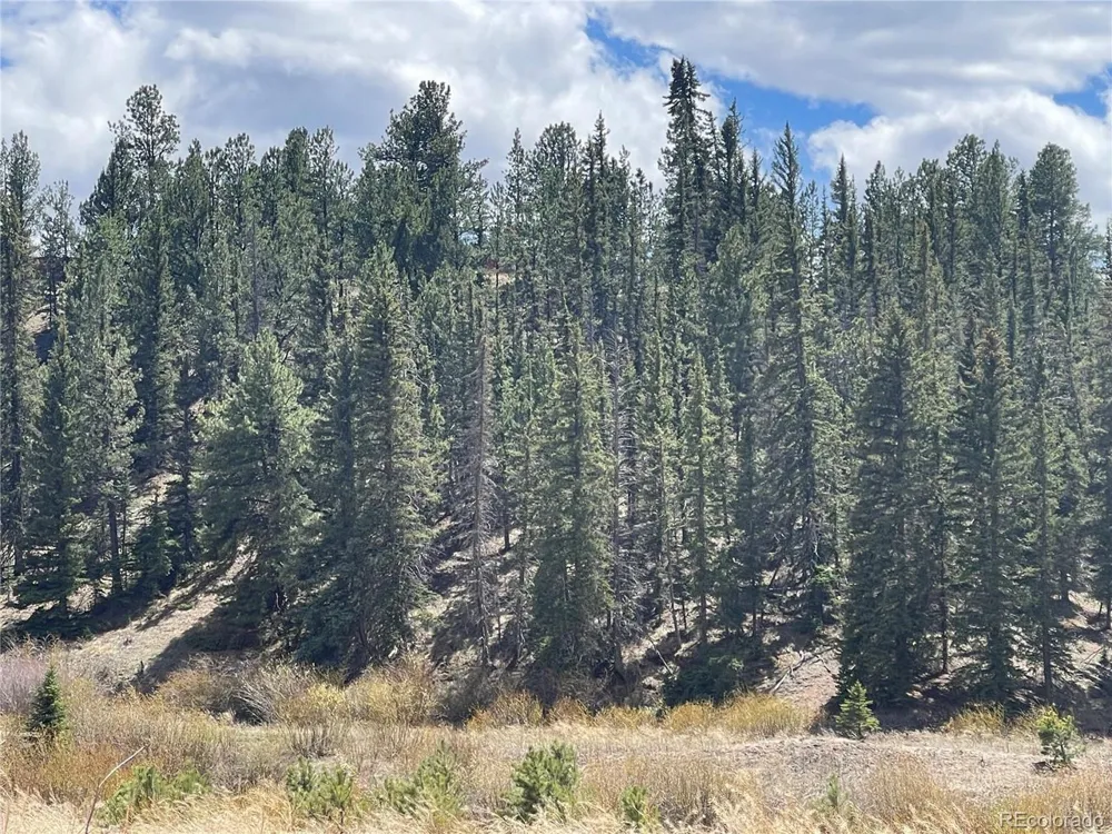 Address Not Shown Florissant, CO 80816