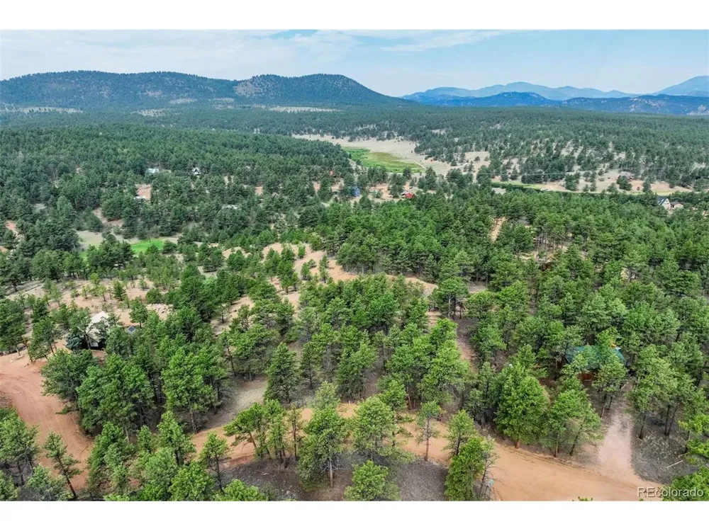 39 Reed Drive Florissant, CO 80816