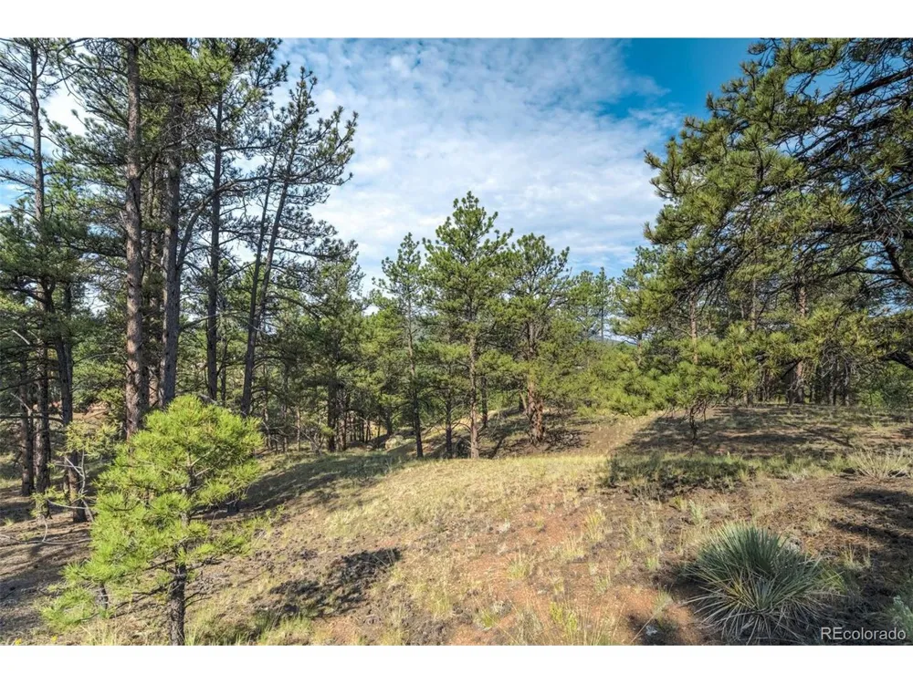39 Reed Drive Florissant, CO 80816