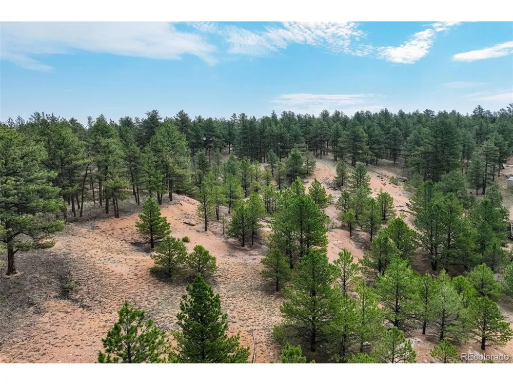 39 Reed Drive Florissant, CO 80816
