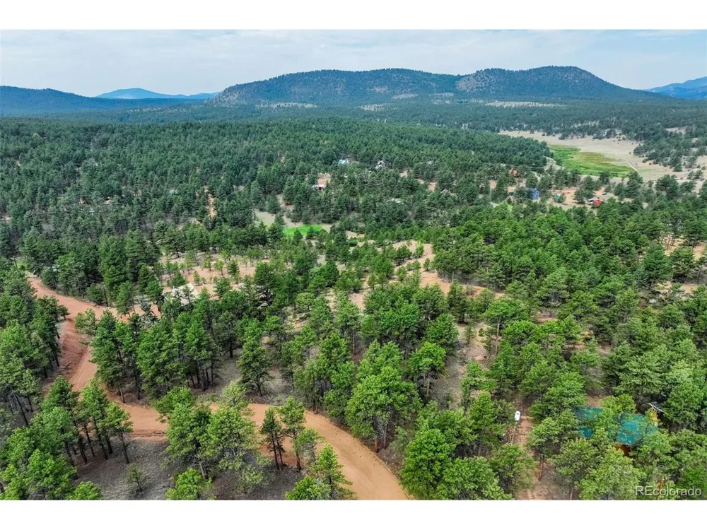 39 Reed Drive Florissant, CO 80816