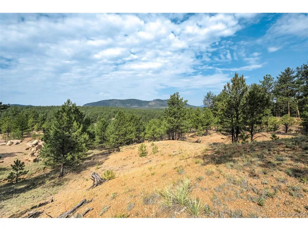 39 Reed Drive Florissant, CO 80816