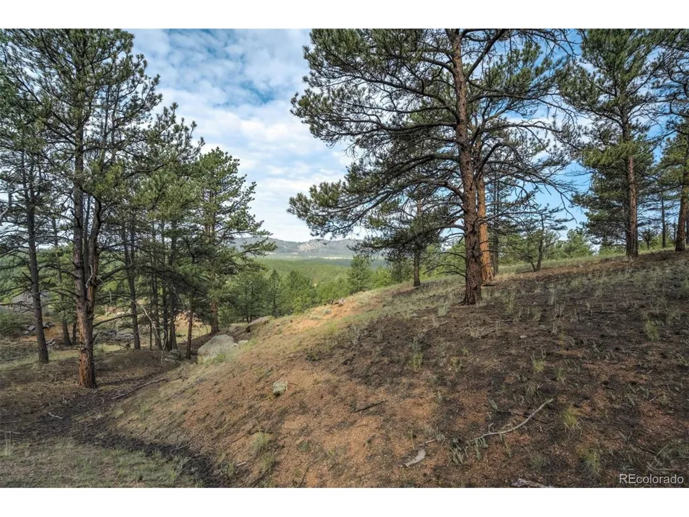 39 Reed Drive Florissant, CO 80816