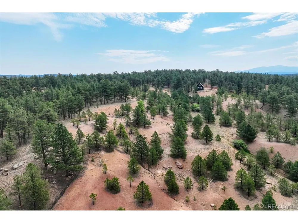39 Reed Drive Florissant, CO 80816
