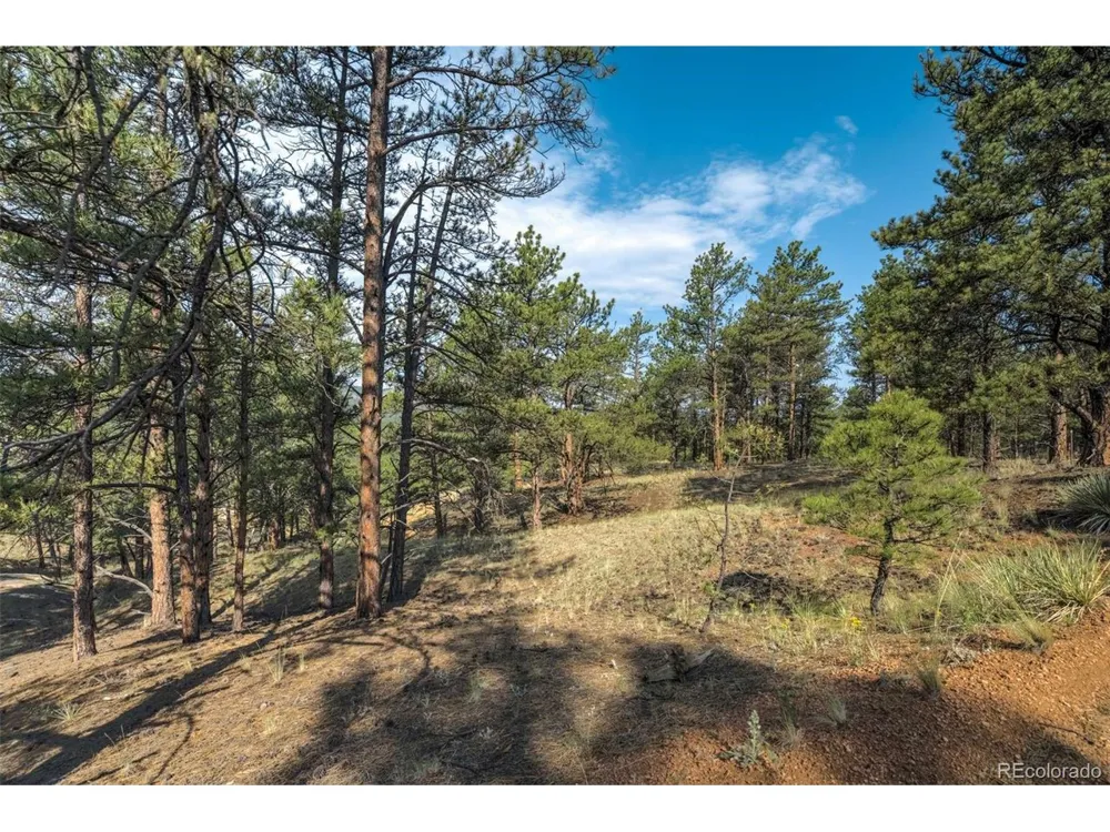 39 Reed Drive Florissant, CO 80816