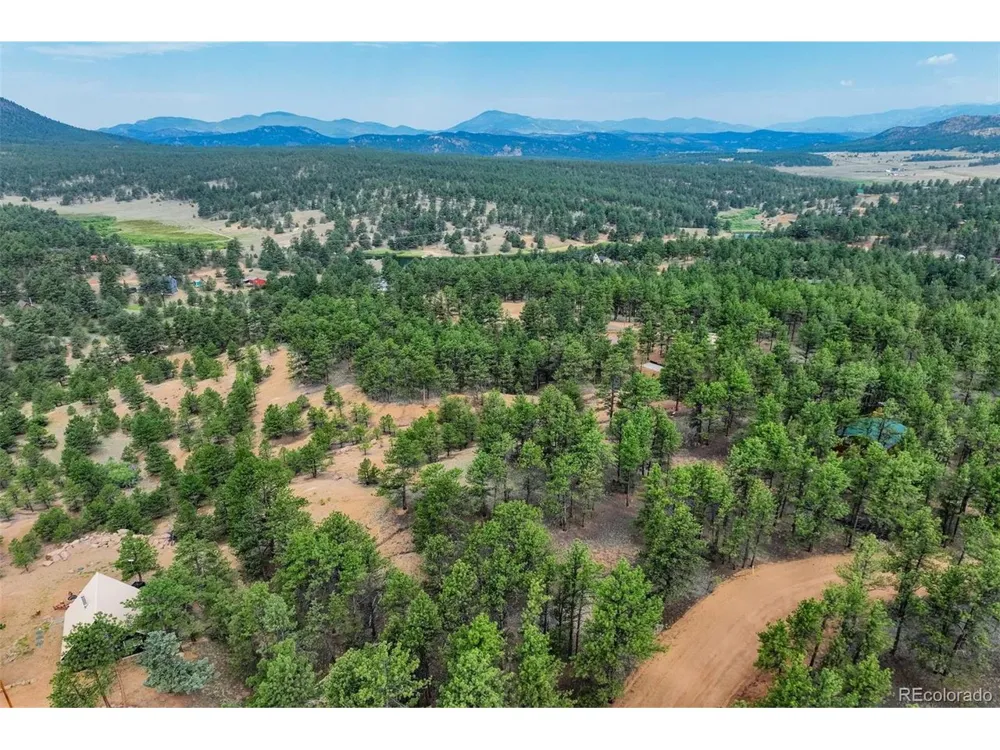 39 Reed Drive Florissant, CO 80816