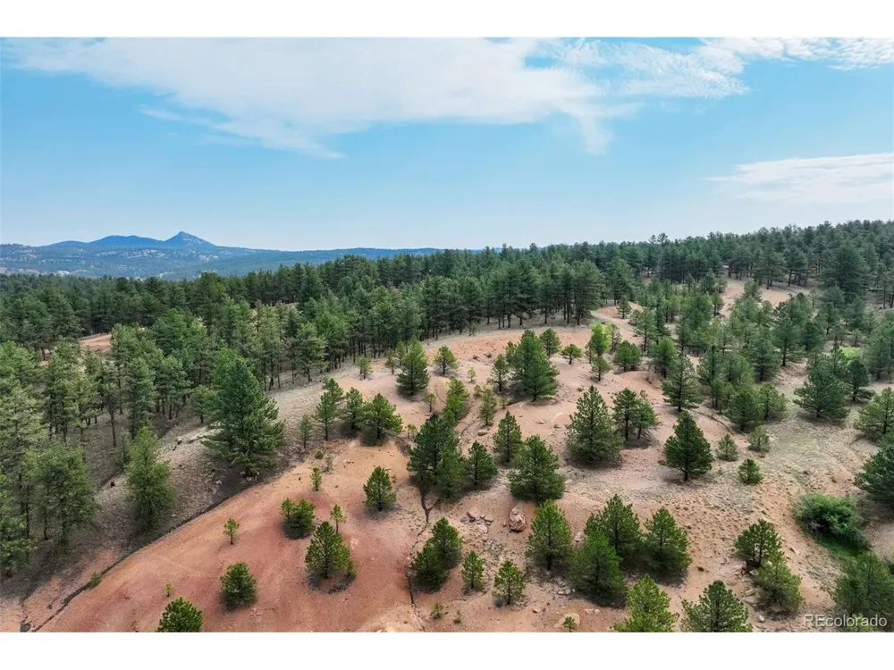 39 Reed Drive Florissant, CO 80816