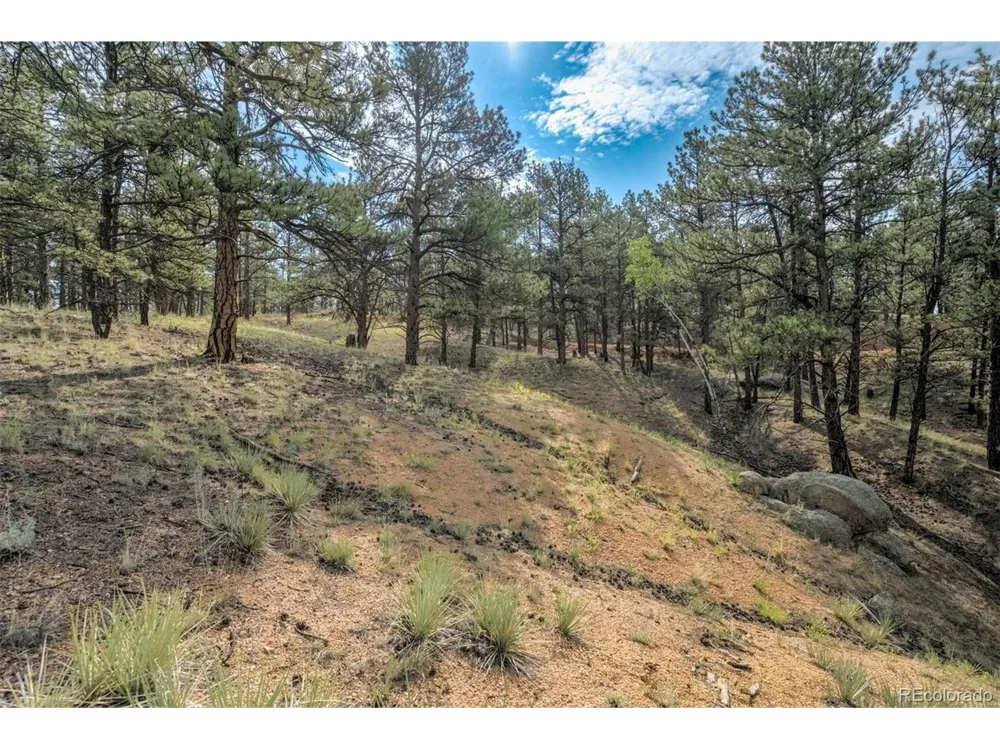 39 Reed Drive Florissant, CO 80816