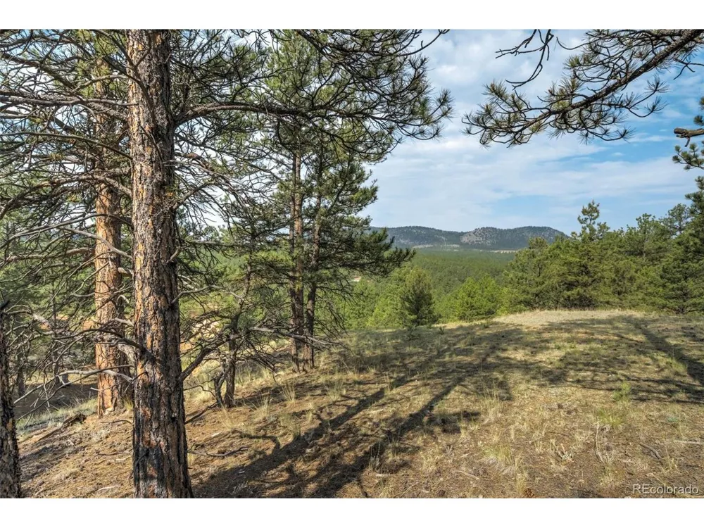 39 Reed Drive Florissant, CO 80816