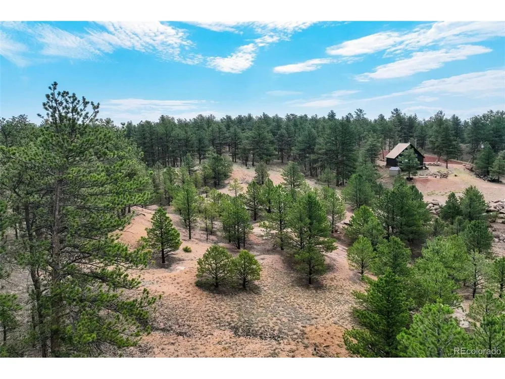39 Reed Drive Florissant, CO 80816