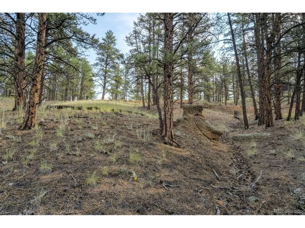 39 Reed Drive Florissant, CO 80816