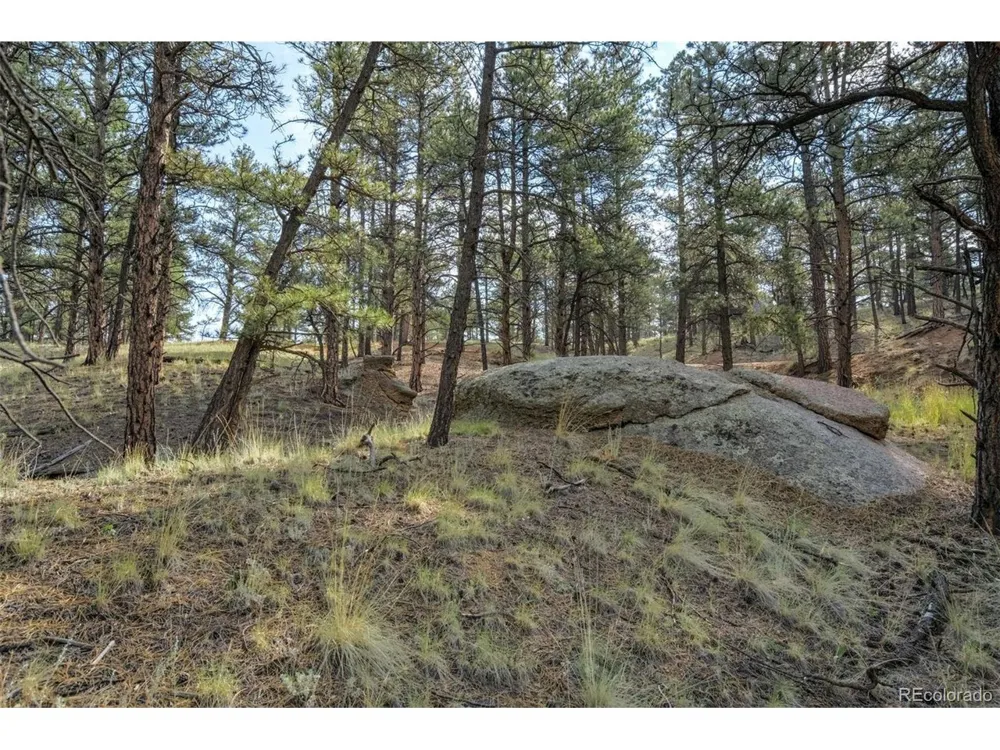 39 Reed Drive Florissant, CO 80816