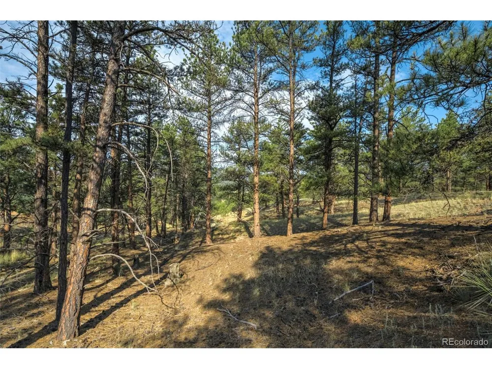 39 Reed Drive Florissant, CO 80816
