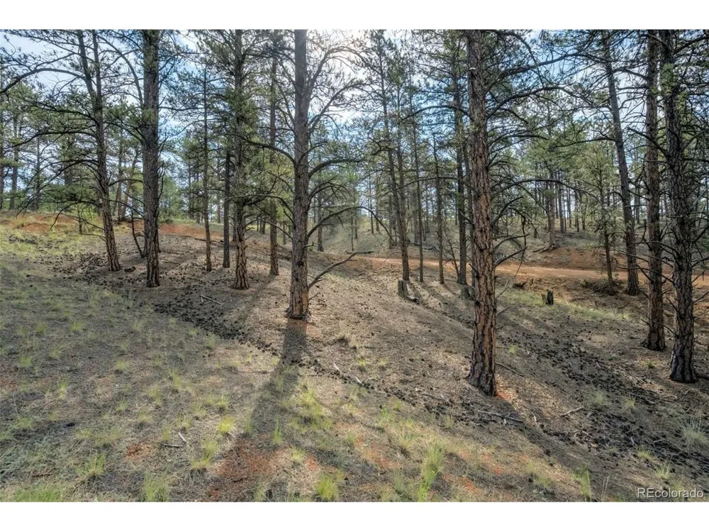 39 Reed Drive Florissant, CO 80816