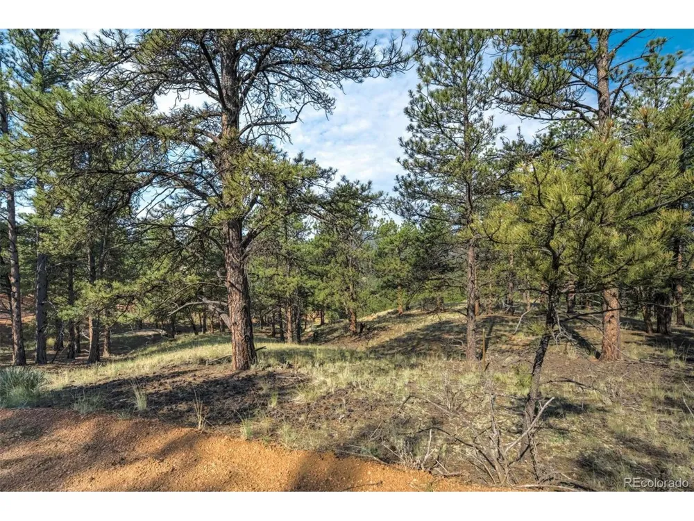 39 Reed Drive Florissant, CO 80816