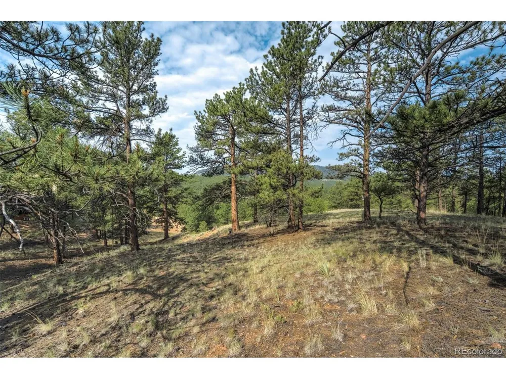 39 Reed Drive Florissant, CO 80816