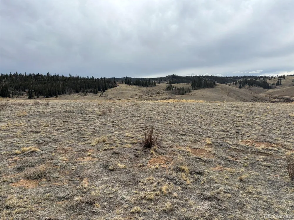 317 Lippzana Road Como, CO 80432