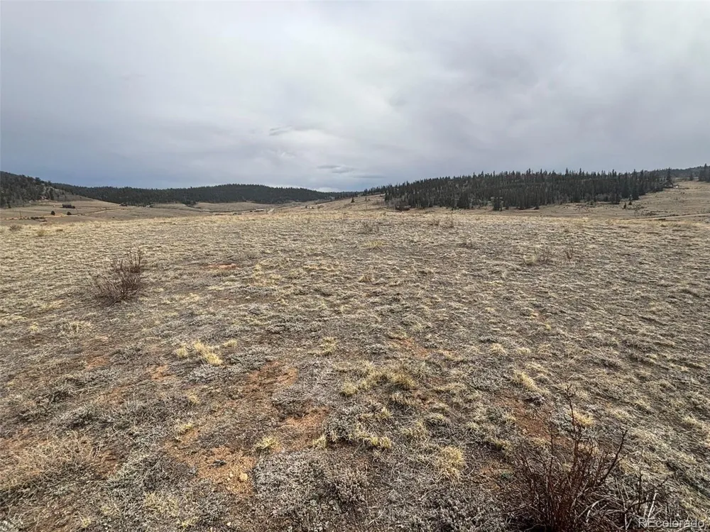 317 Lippzana Road Como, CO 80432