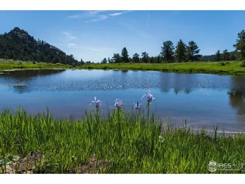 Shoshana Ranch Road