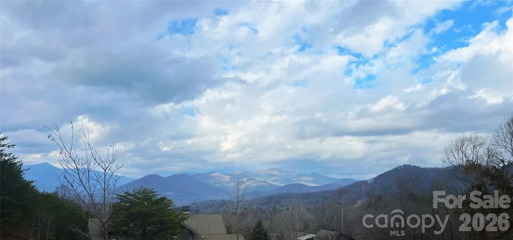 75 Cottage Settings Lane Black Mountain, NC 28711