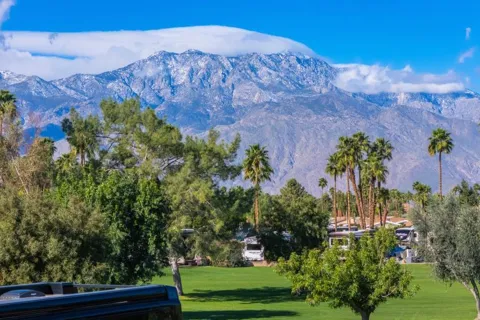 69411 Ramon Road #807
