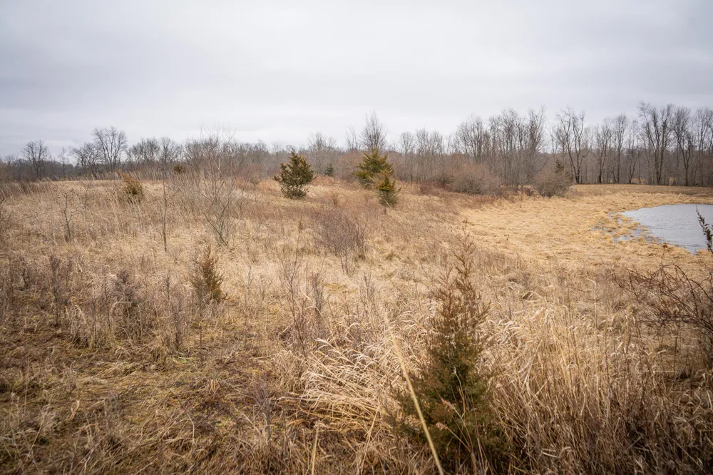 1601 W Territorial Road Camden, MI 49232
