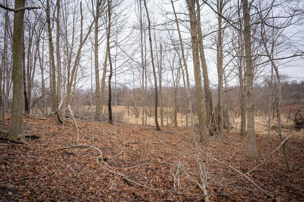 1601 W Territorial Road Camden, MI 49232