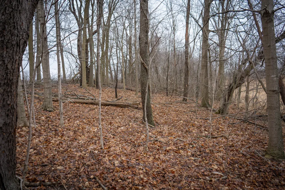 1601 W Territorial Road Camden, MI 49232
