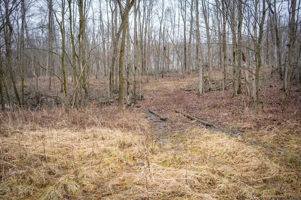 1601 W Territorial Road Camden, MI 49232