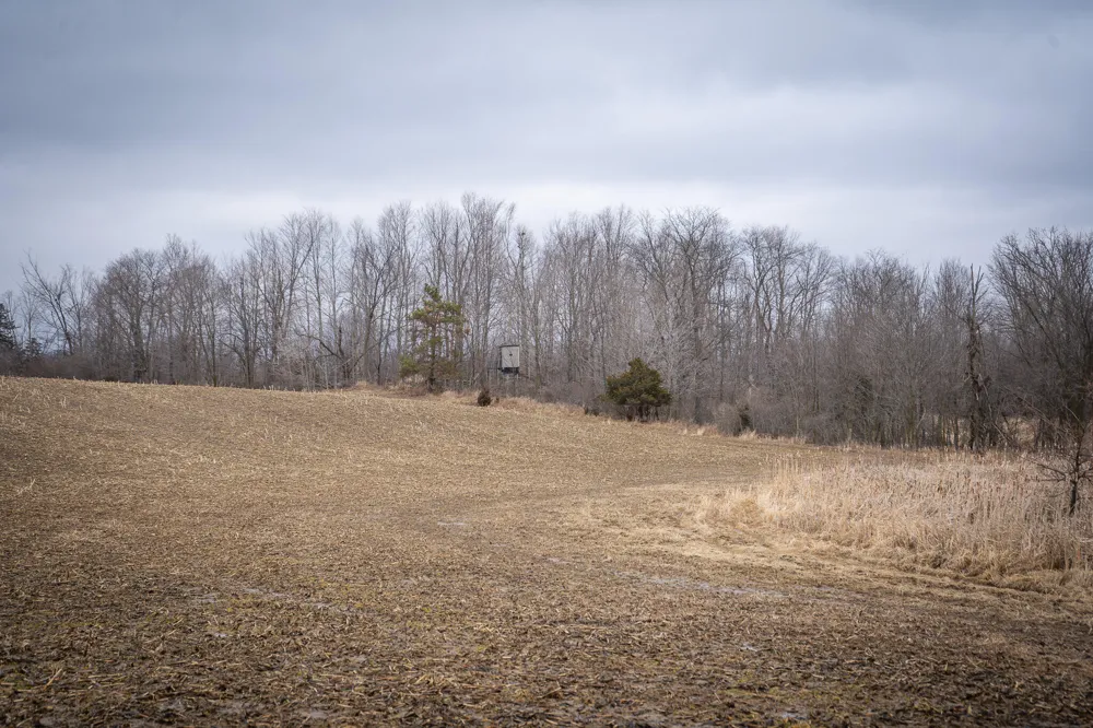 1601 W Territorial Road Camden, MI 49232