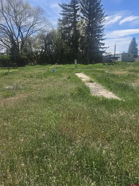 Naturita Street