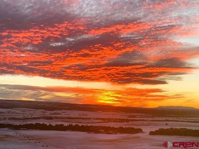 1931 County Road 44ZN Norwood, CO 81423