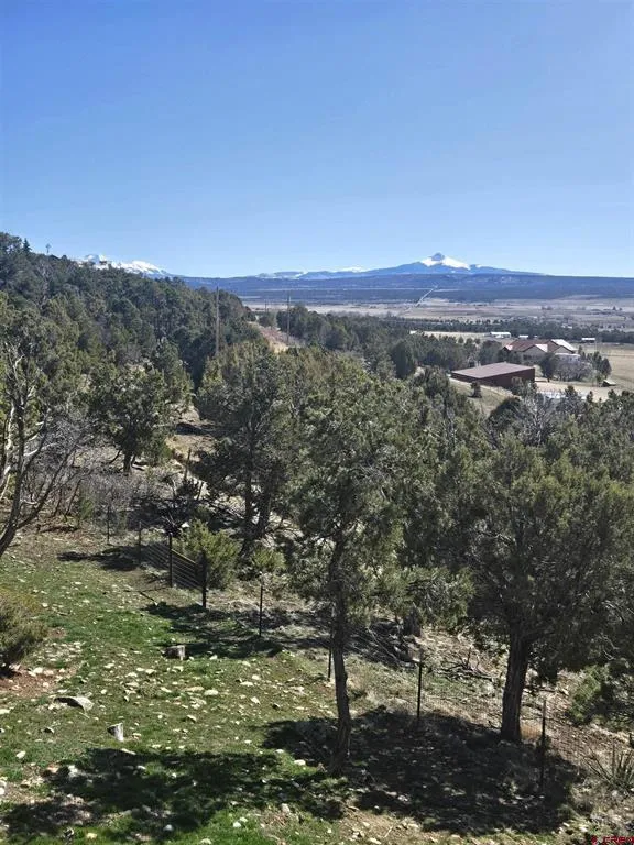 1931 County Road 44ZN Norwood, CO 81423