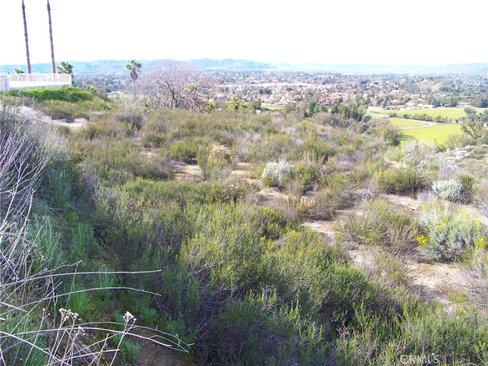 42540 Brix Hemet, CA 92544