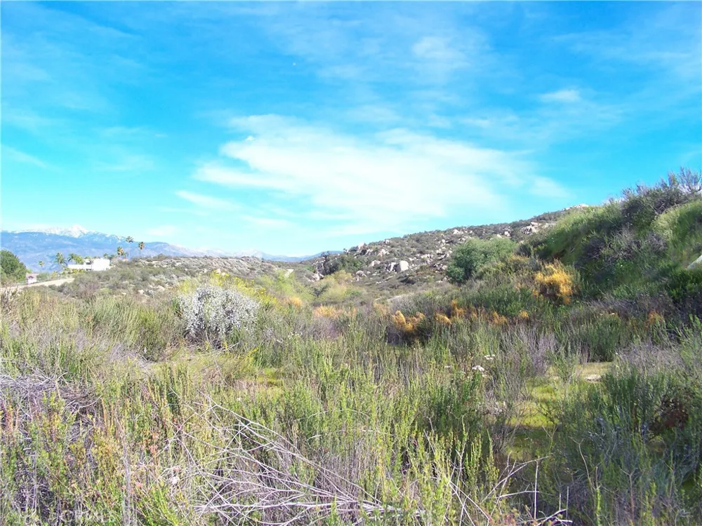 42540 Brix Hemet, CA 92544