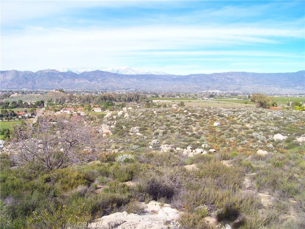 42540 Brix Hemet, CA 92544