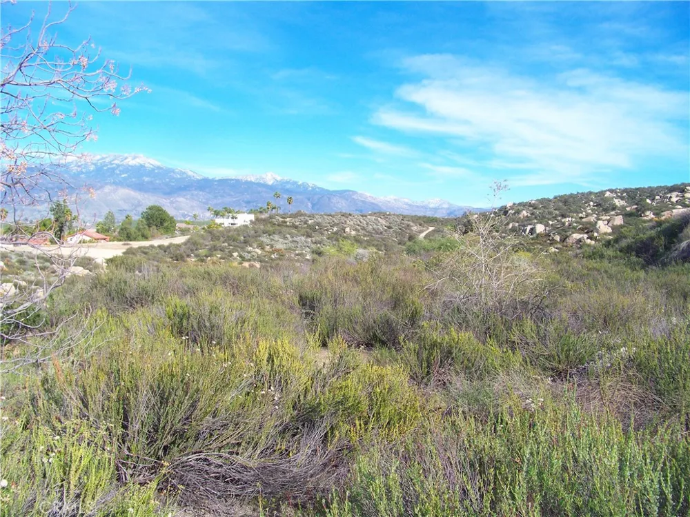 42540 Brix Hemet, CA 92544
