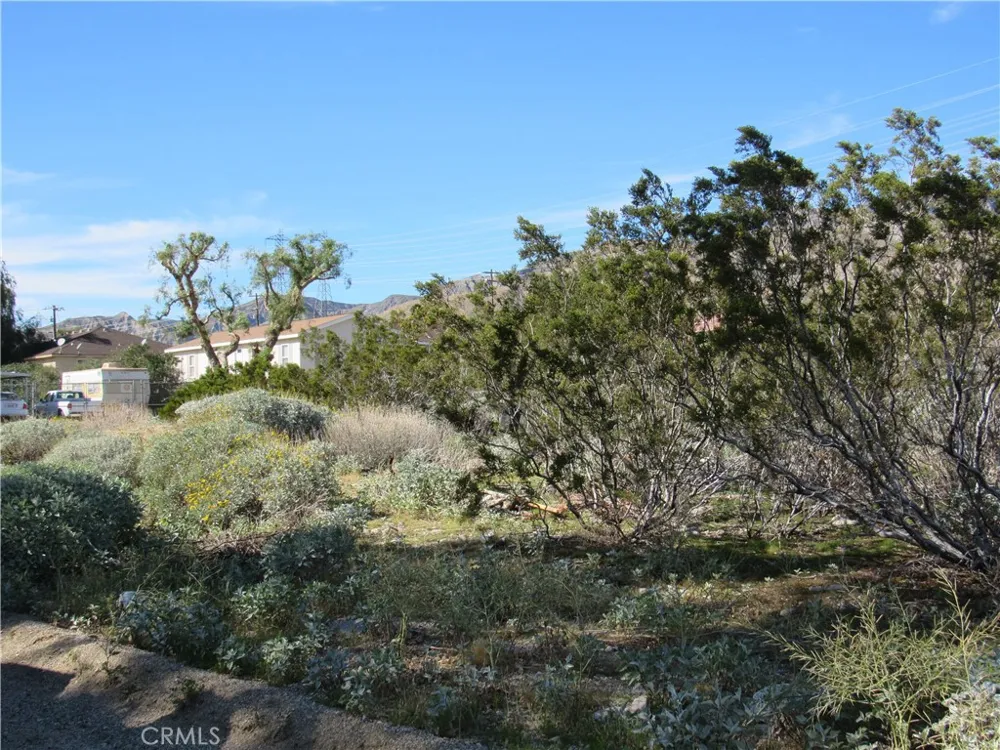 54294 Kelton Whitewater, CA 92282