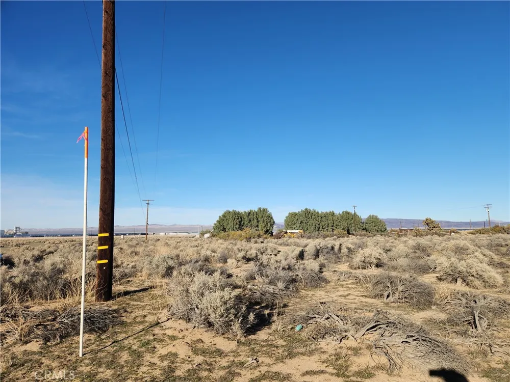 10 Edie Road Hinkley, CA 92347