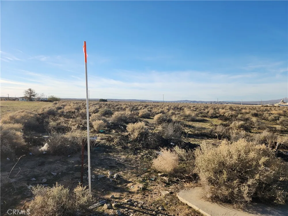 10 Edie Road Hinkley, CA 92347