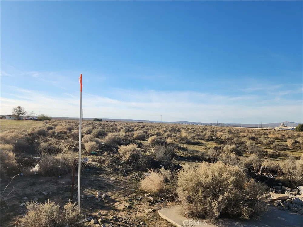 10 Edie Road Hinkley, CA 92347