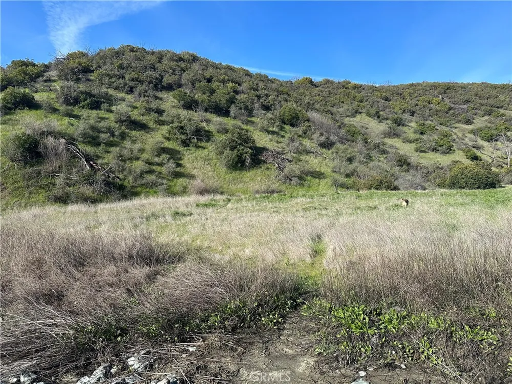 25156 E State Hwy 20 Clearlake Oaks, CA 95423