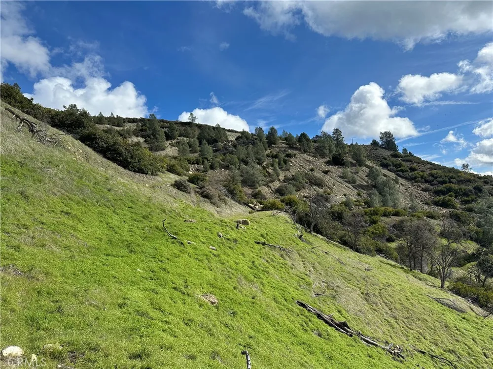 25156 E State Hwy 20 Clearlake Oaks, CA 95423