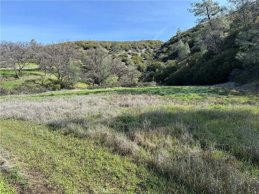 25156 E State Hwy 20 Clearlake Oaks, CA 95423