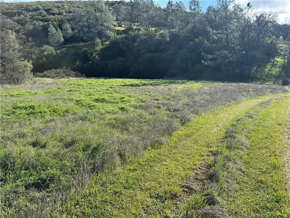 25156 E State Hwy 20 Clearlake Oaks, CA 95423