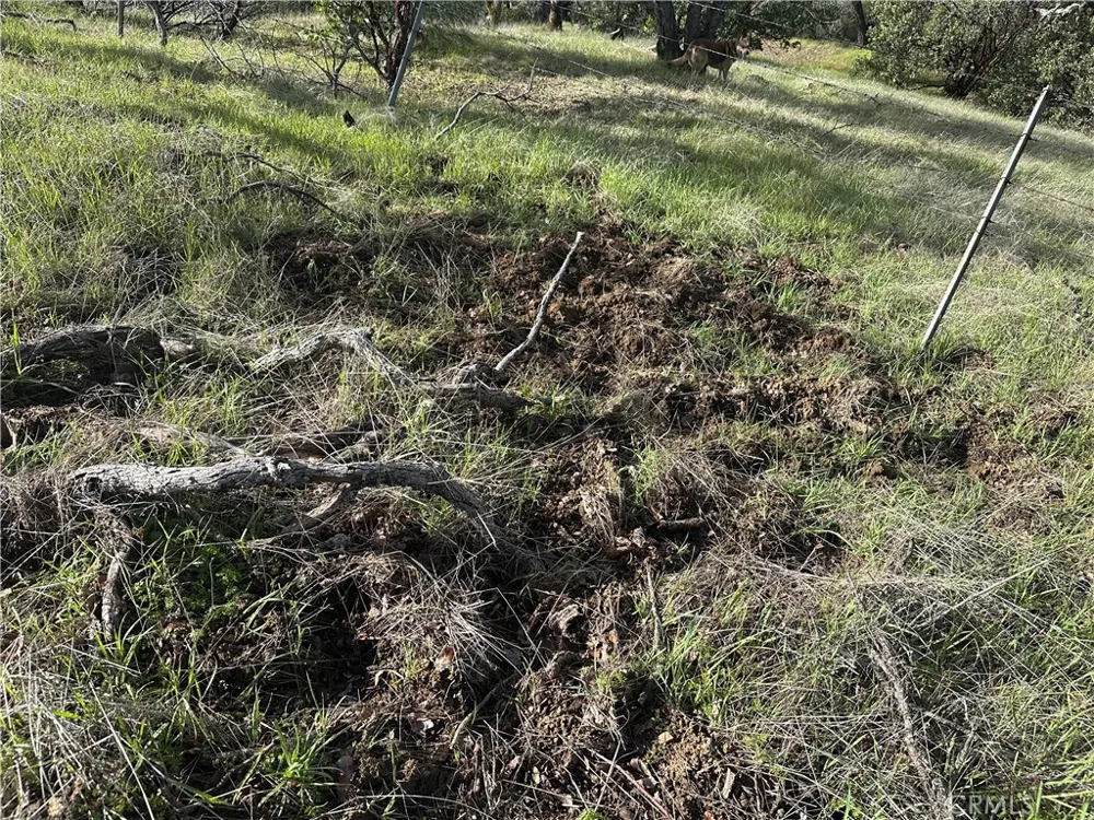 25156 E State Hwy 20 Clearlake Oaks, CA 95423